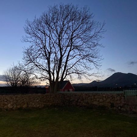 Littles Cottage, Heart Of The Mournes Annalong Extérieur photo