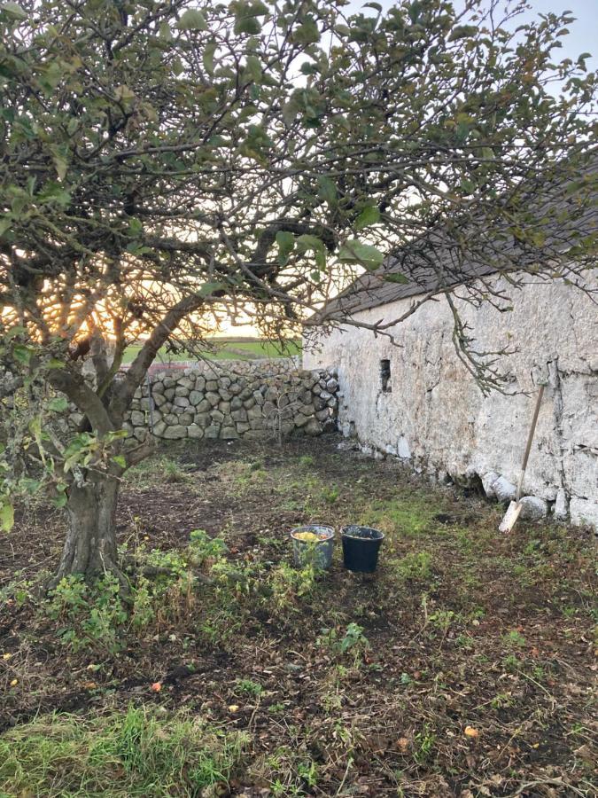 Littles Cottage, Heart Of The Mournes Annalong Extérieur photo