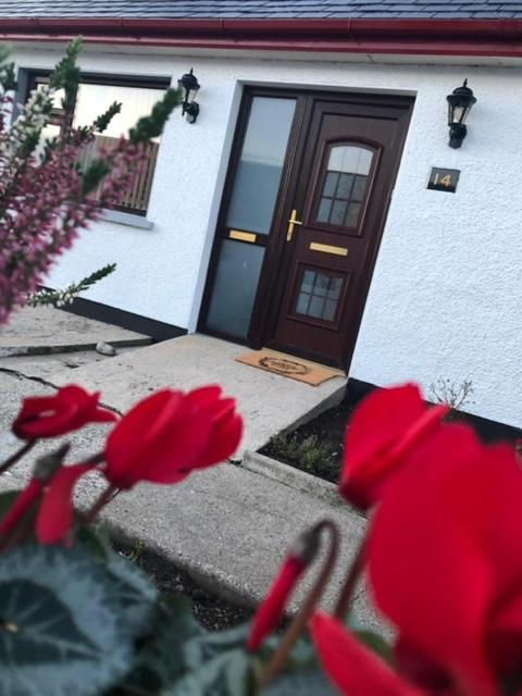 Littles Cottage, Heart Of The Mournes Annalong Extérieur photo